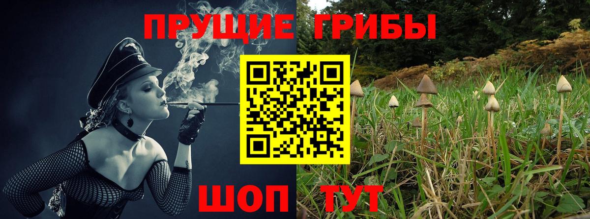 Кудымкар  купить закладку  Вход с VPN  Галлюциногенные грибы мицелий 